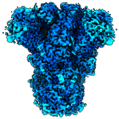 thumbnail of cryoEM structure EMD-26378