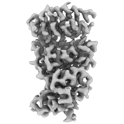 thumbnail of cryoEM structure EMD-26511