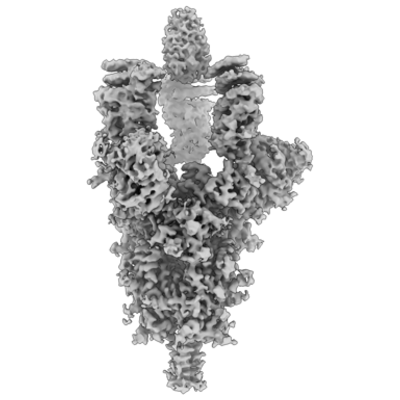 thumbnail of cryoEM structure EMD-26512