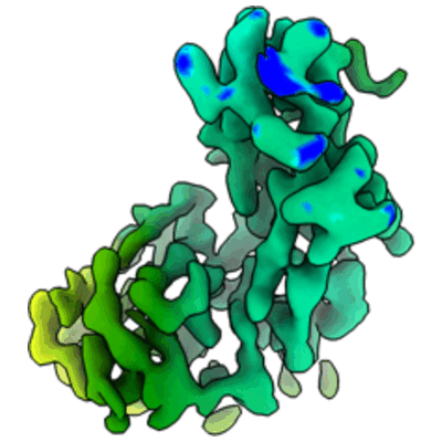 thumbnail of cryoEM structure EMD-26729