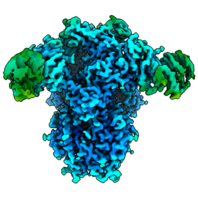 thumbnail of cryoEM structure EMD-26730