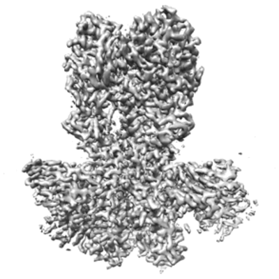 thumbnail of cryoEM structure EMD-27440