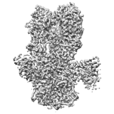 thumbnail of cryoEM structure EMD-27441