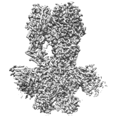 thumbnail of cryoEM structure EMD-27443