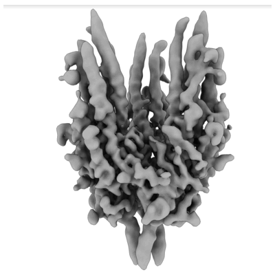 thumbnail of cryoEM structure EMD-27779