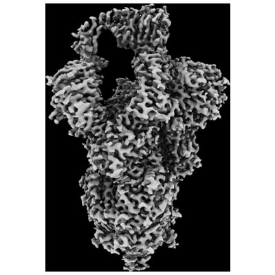 thumbnail of cryoEM structure EMD-28559