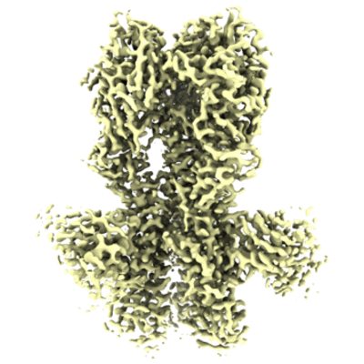 thumbnail of cryoEM structure EMD-28833