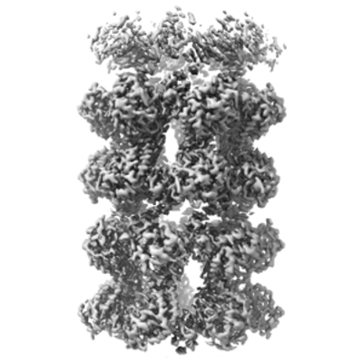 thumbnail of cryoEM structure EMD-28965