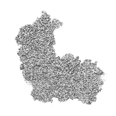 EMDR : EMD-36108 EMDR : EMD-36108