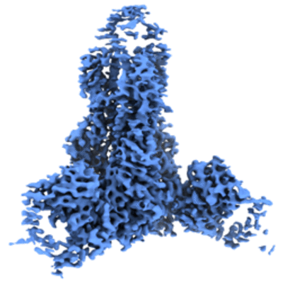 thumbnail of cryoEM structure EMD-40046