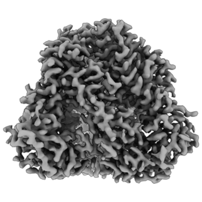 thumbnail of cryoEM structure EMD-41636