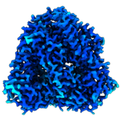 thumbnail of cryoEM structure EMD-41640