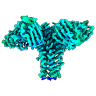 thumbnail of cryoEM structure EMD-41642
