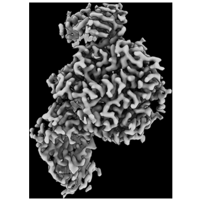 thumbnail of cryoEM structure EMD-41784