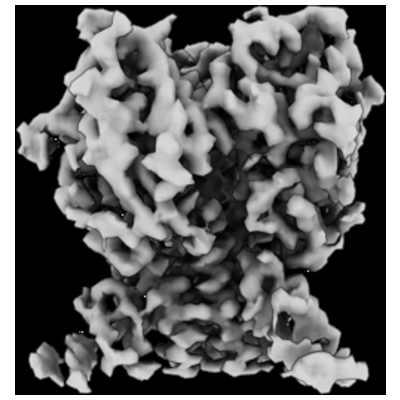 thumbnail of cryoEM structure EMD-42482