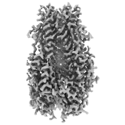 thumbnail of cryoEM structure EMD-43435