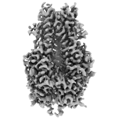 thumbnail of cryoEM structure EMD-43436