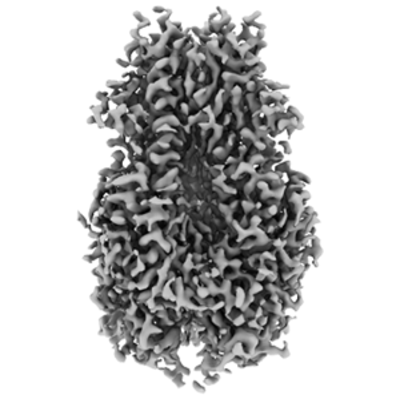 thumbnail of cryoEM structure EMD-43437