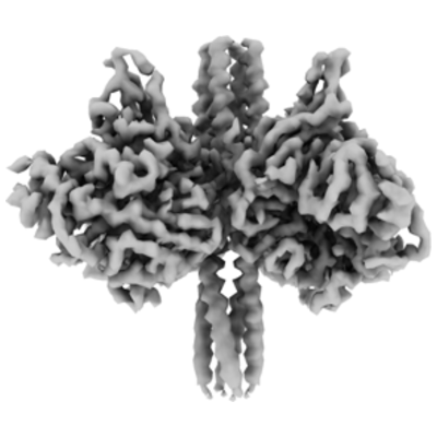 thumbnail of cryoEM structure EMD-43593