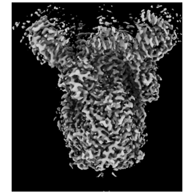 thumbnail of cryoEM structure EMD-43658