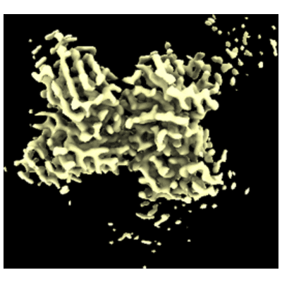 thumbnail of cryoEM structure EMD-43659