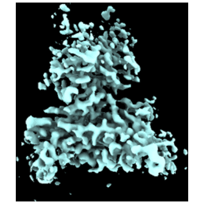 thumbnail of cryoEM structure EMD-43660