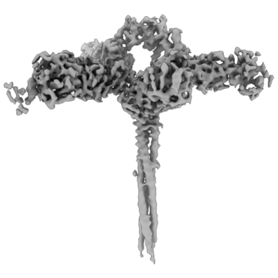 thumbnail of cryoEM structure EMD-43736