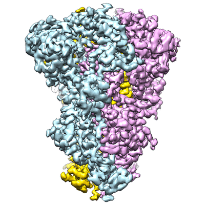 thumbnail of cryoEM structure EMD-7094