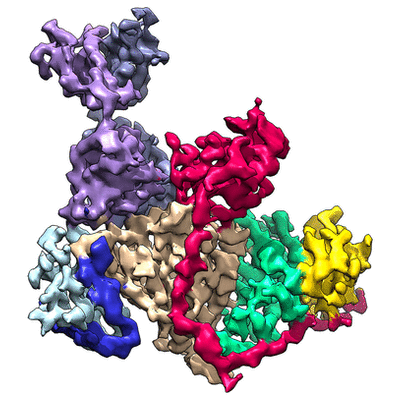 thumbnail of cryoEM structure EMD-7344