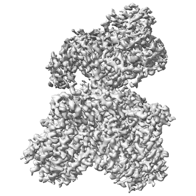 thumbnail of cryoEM structure EMD-9341